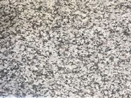 Granites প্রাকৃতিক স্টোন স্ল্যাব পালিশ শেষ 240 আপ X1200UP এক্স 2cm বড় স্ল্যাব